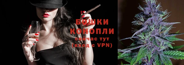 хмурый Арсеньев