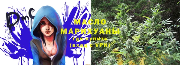хмурый Арсеньев