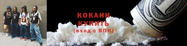 хмурый Арсеньев