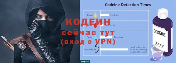 хмурый Арсеньев