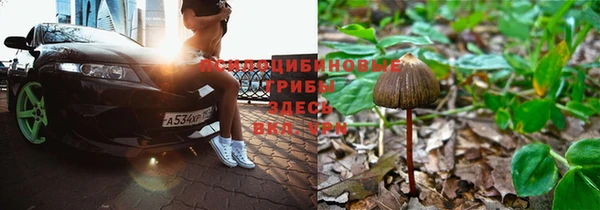 спиды Армянск