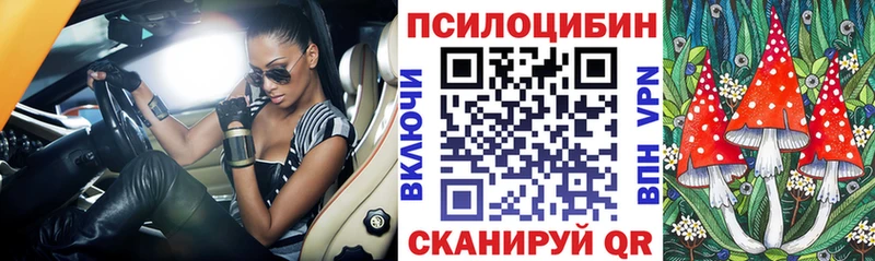 Галлюциногенные грибы Magic Shrooms  где купить наркоту  Покров 